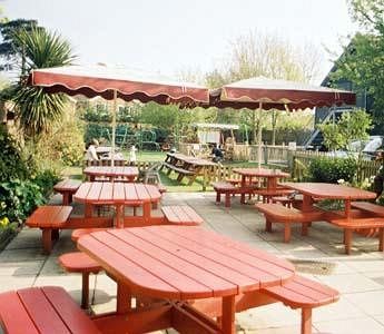 The Cherry Tree